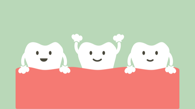 後から生える永久歯のために3つの隙間ができる