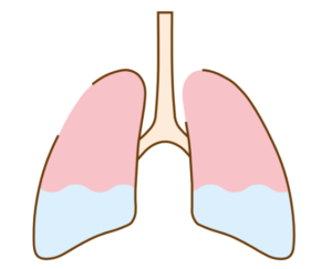 一酸化窒素が肺に送られて、気道と血管が広がる