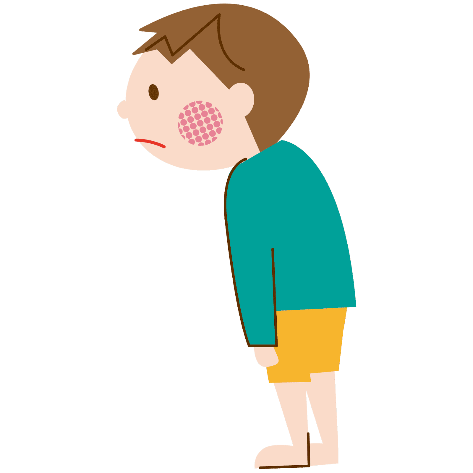 歯並びと姿勢の関係